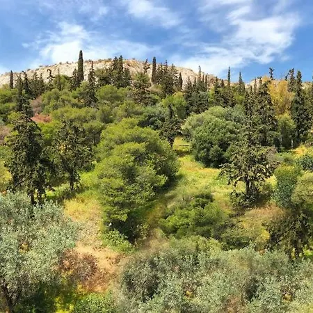 1 Unique Views Of Filopapou Hill In Acropolis Area!-3